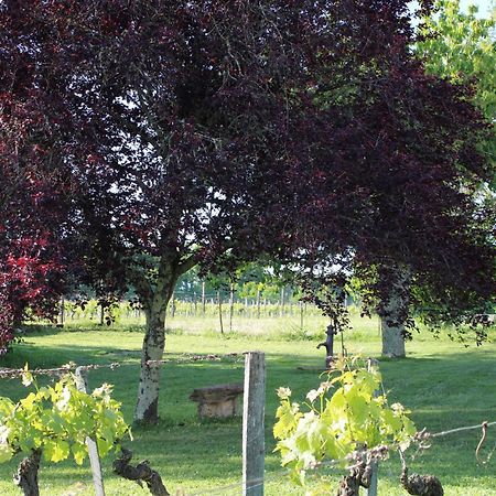 Bed and Breakfast La Vigneraie De Laura Sainte-Colombe  Экстерьер фото
